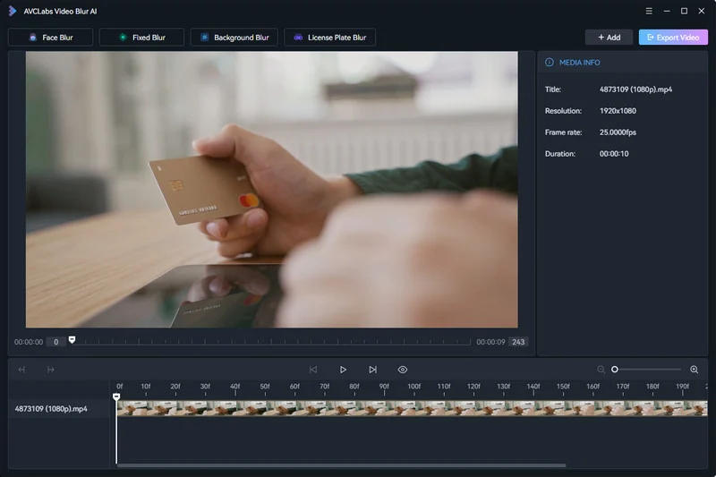 AVCLabs Video Blur AI
