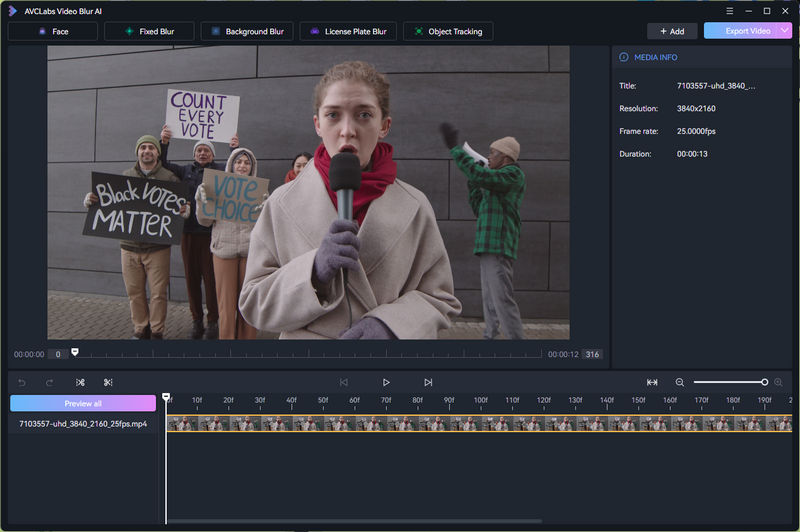 upload video to blur face