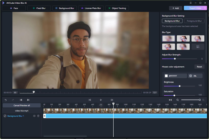 blur all faces in dynamic scenes