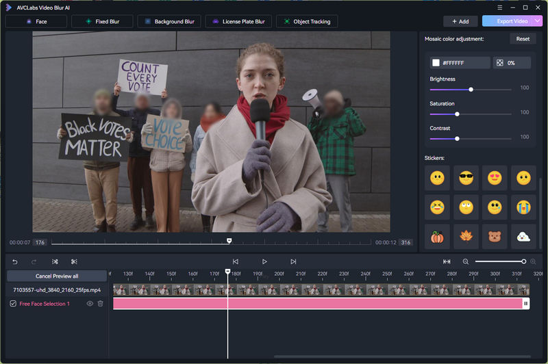 adjust blur settings in video