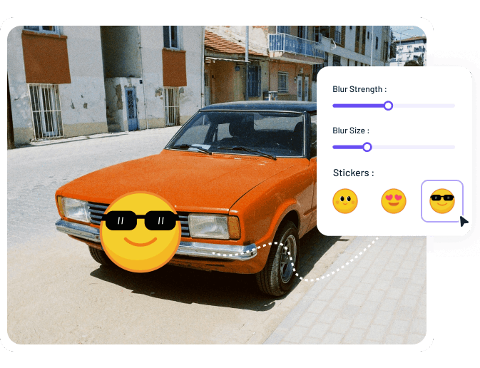 license plate blur types