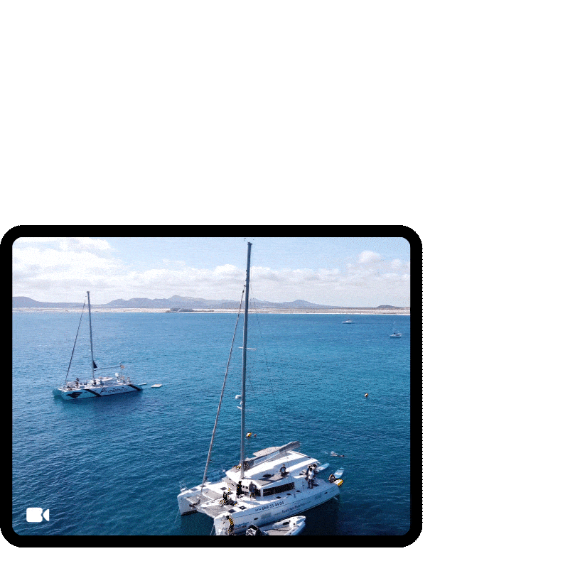 avclabs video object remover min