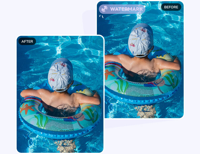 avclabs video watermark remover
