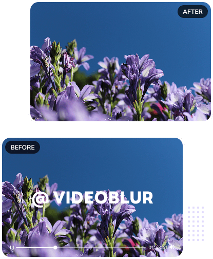 avclabs video watermark remover